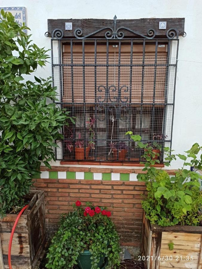 Апартаменты La Casita De Paco Albaicin Гранада Экстерьер фото